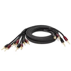 AUDIOQUEST ROCKET 44 Banana Gold - Bi-Wire